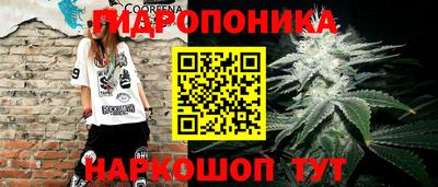 a pvp Донецк