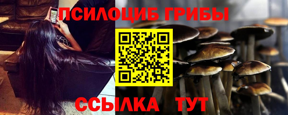 Галлюциногенные грибы Psilocybe  Вход с VPN  Муром 